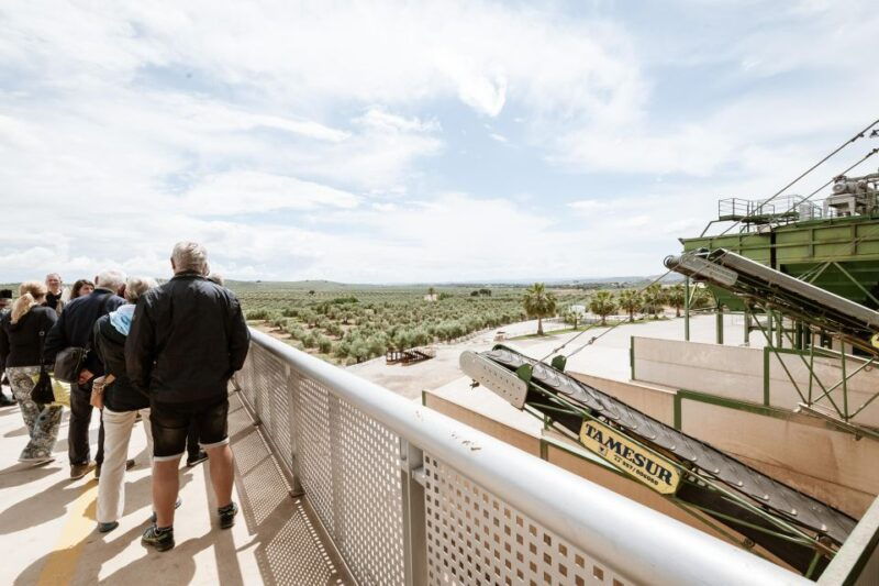 xxi-century-olive-oil-mill-tour