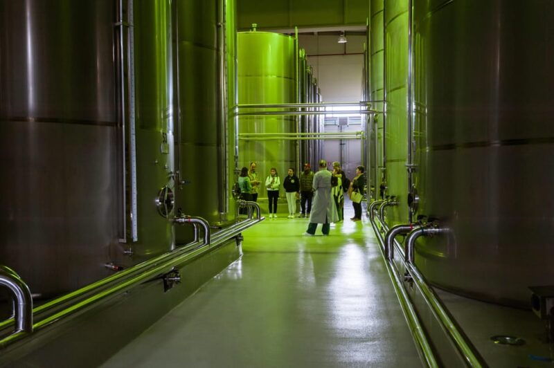 xxi-century-olive-oil-mill-tour