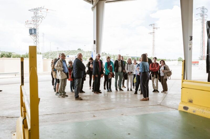 xxi-century-olive-oil-mill-tour