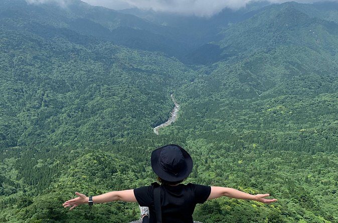 Yakushima 1 day SHIRATANI UNSUIKYO Walking with ENGLISH Speaking Guide - The Sum Up