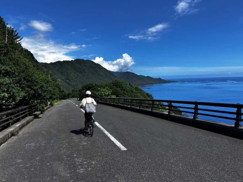 Yakushima: E-Bike Rental Plan (Pick-Up & Drop-Off Included) - Key Points