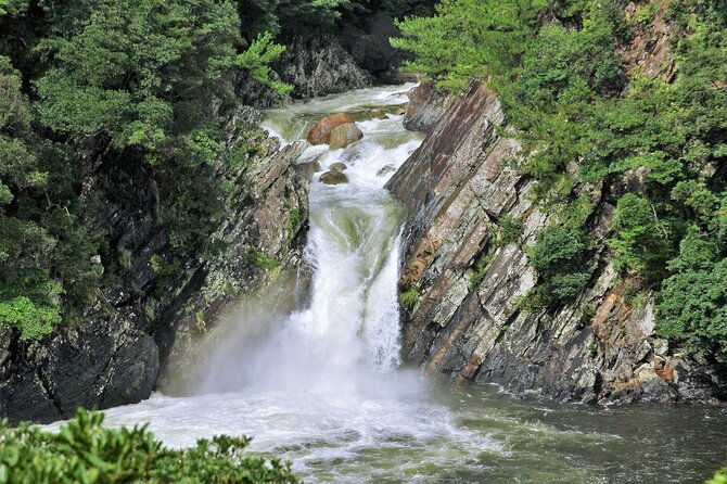 yakushima-private-island-sights-tour-with-english-speaking-guide