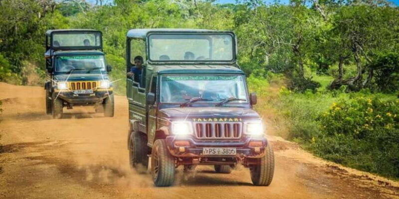 yala-1-day-leopard-safari-with-picnic-lunch-from-hambantota