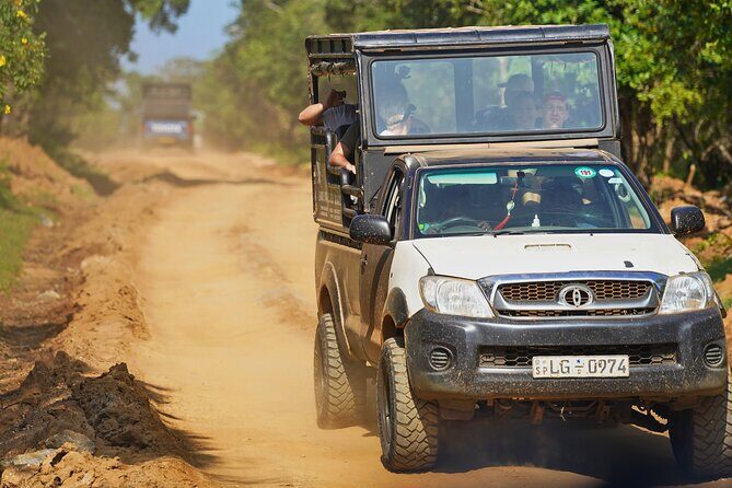 Yala 4h Jeep Safari: Guided Wildlife Experience (All Inclusive) - Introduction: Why a Yala Safari from Bentota Is Worth Considering
