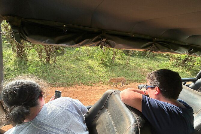 Yala 4h Jeep Safari: Guided Wildlife Experience (All Inclusive) - Review Highlights from Travelers