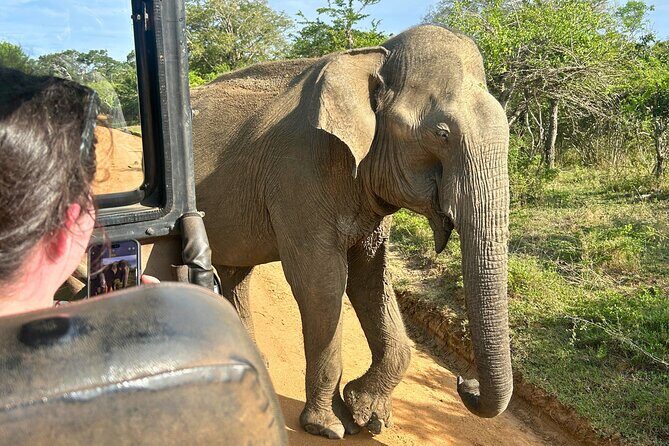 Yala 4h Jeep Safari: Guided Wildlife Experience (All Inclusive) - FAQ