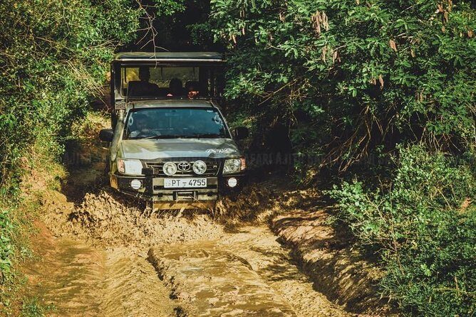 Yala Full day Leopard Safari Tour with Picnic Lunch - An In-Depth Look at the Tour Itinerary