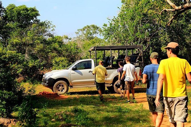 Yala Full day Leopard Safari Tour with Picnic Lunch - Who Would Love This Experience?