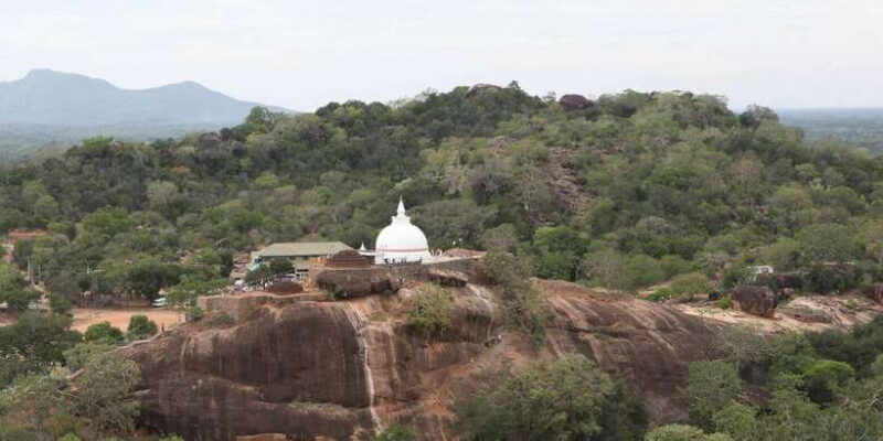 yala-full-day-private-all-inclusive-temple-discovery-tour