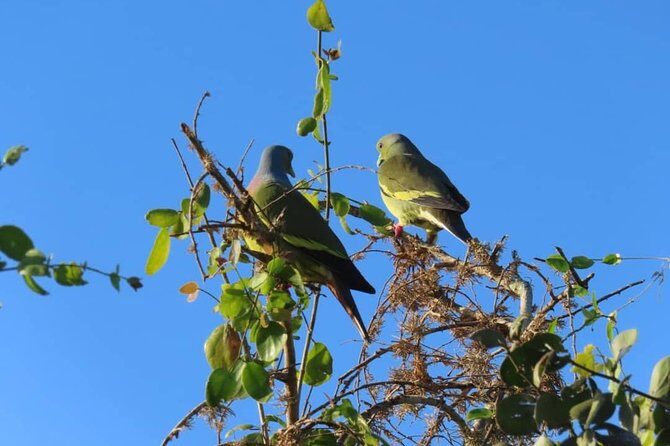 Yala Full Day Private Tour and Safari from Colombo or Negombo - What to Expect from the Yala Full Day Private Tour