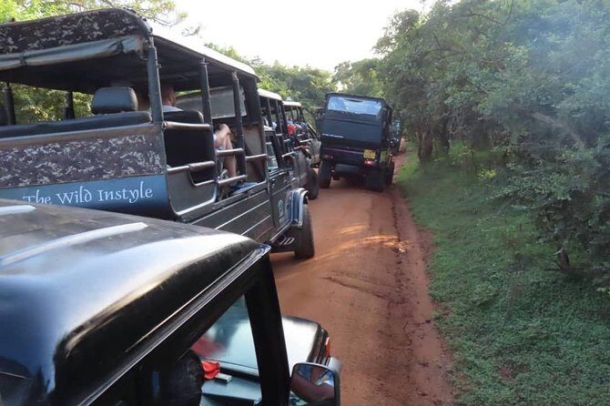 Yala Full Day Private Tour and Safari from Colombo or Negombo - FAQs