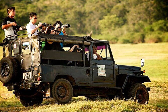 Yala Half Day Safari from Yala - FAQ