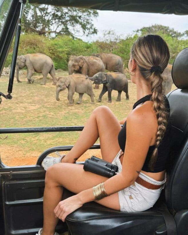 yala-national-park-7-hours-or-12-hours-leopard-wild-safari