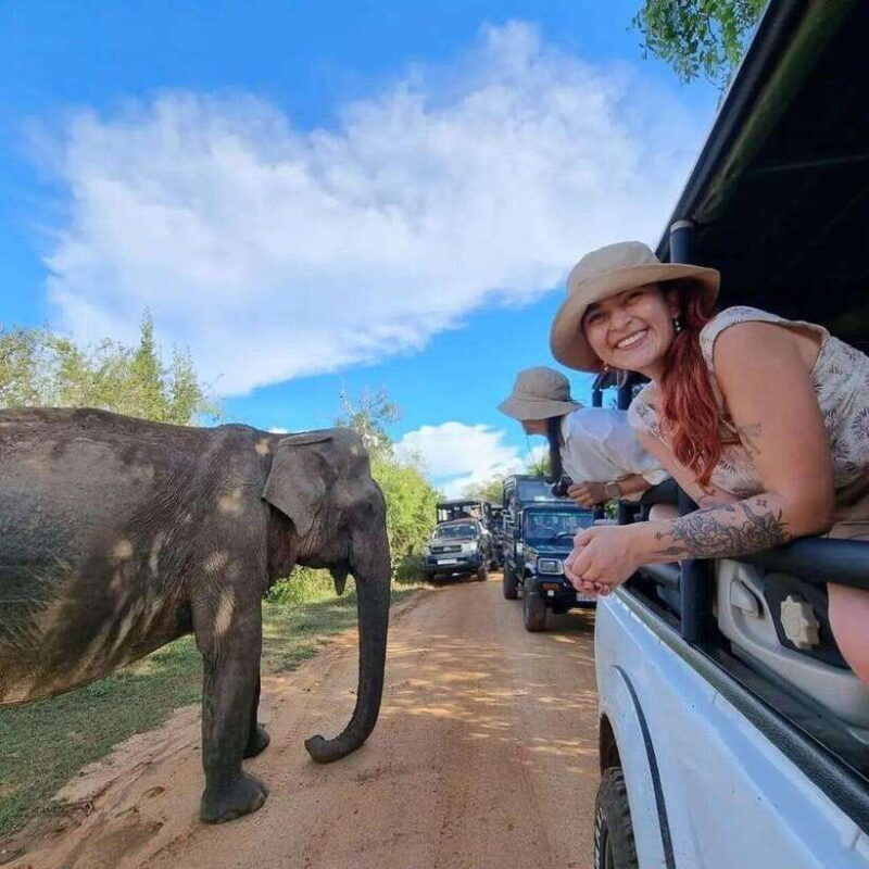 yala-national-park-all-inclusive-private-safari-day-trip