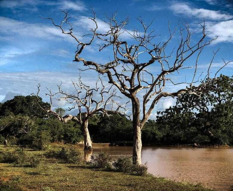 yala-national-park-all-inclusive-private-safari-day-trip