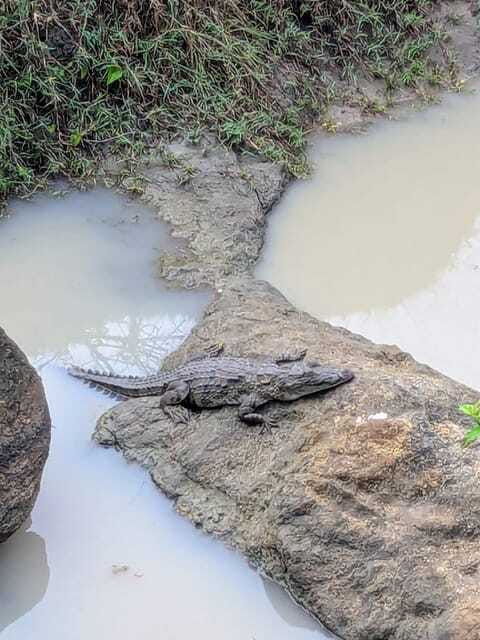 yala-national-park-day-tour-with-jeep-safari