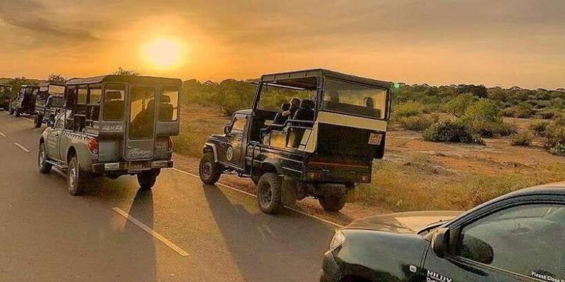 yala-national-park-full-day-safari-0430-am-1800-pm