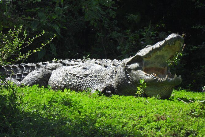 Yala National Park Full Day Safari - Ceylon Safari Tours - What to Expect from the Itinerary