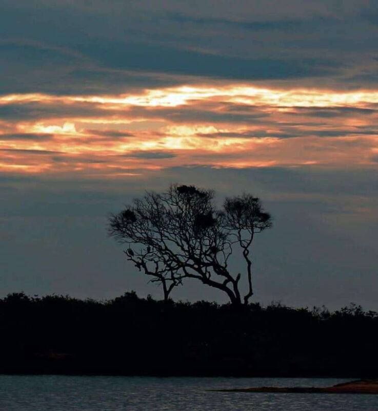 yala-national-park-full-day-safari-tour