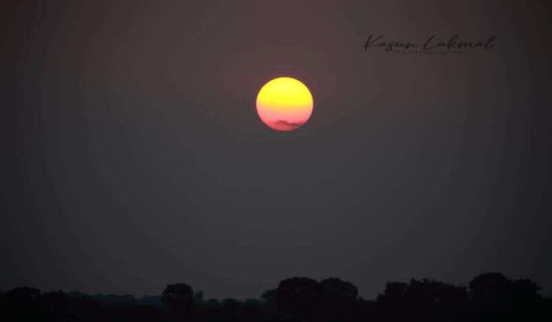 yala-national-park-full-day-safari-tour