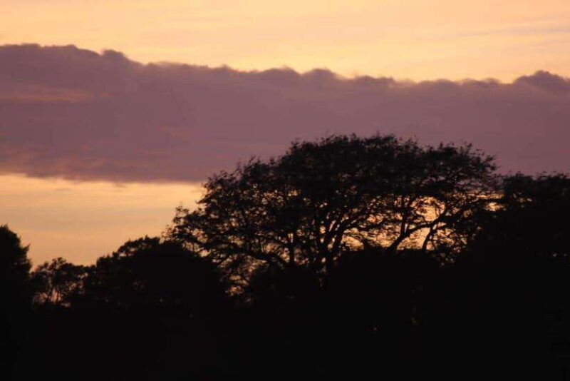 yala-national-park-full-day-safari-tour