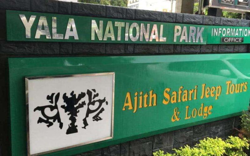 yala-national-park-full-day-wildlife-safari-with-lunch