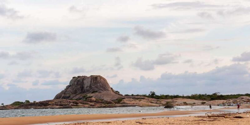 Yala National Park: Half, 7-Hour, or Full-Day Safari & Meals - What to Expect from the Safari Experience