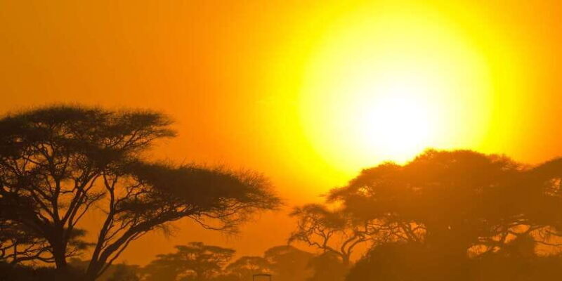 Yala National Park: Half, 7-Hour, or Full-Day Safari & Meals - Cost and Value Analysis