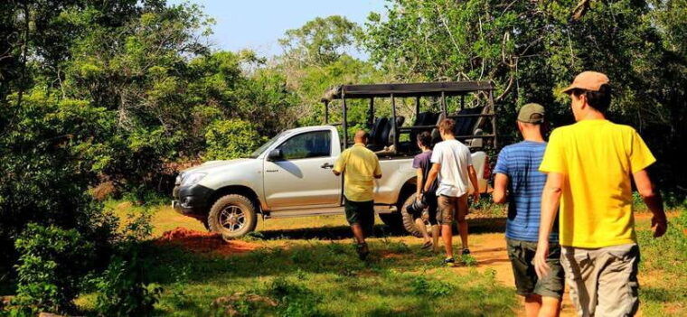 yala-national-park-half-or-full-day-safari