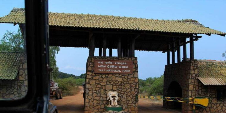 yala-national-park-leopard-safari-day-tour-from-colombo