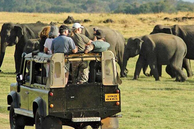 Yala National Park Leopard Safari Wildlife Private Adventure - The Sum Up: Is This Safari Worth It?