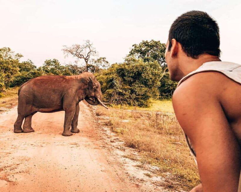 yala-national-park-luxury-camping-adventure-safaris