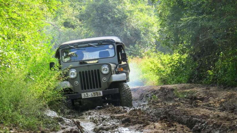 yala-national-park-private-safari-from-ella