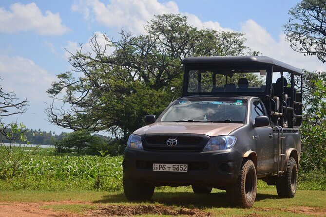 Yala National Park Private Tour with Fast Entry - Review of the Yala National Park Private Tour with Fast Entry