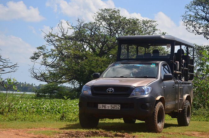 Yala National Park Private Tour with Fast Entry - The Review from Past Participants