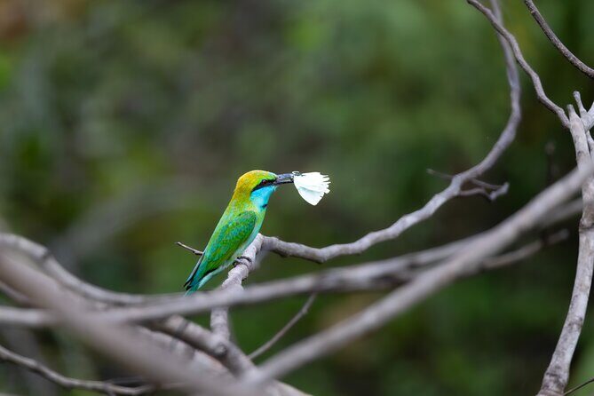 Yala National Park Private Tour with Fast Entry - The Sum Up: Is This Tour Worth It?