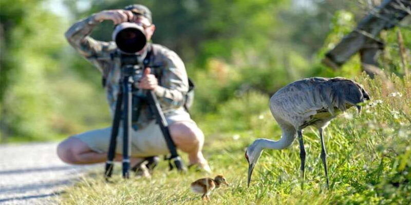yala-national-park-safari-2-options-7-hour-12-hour