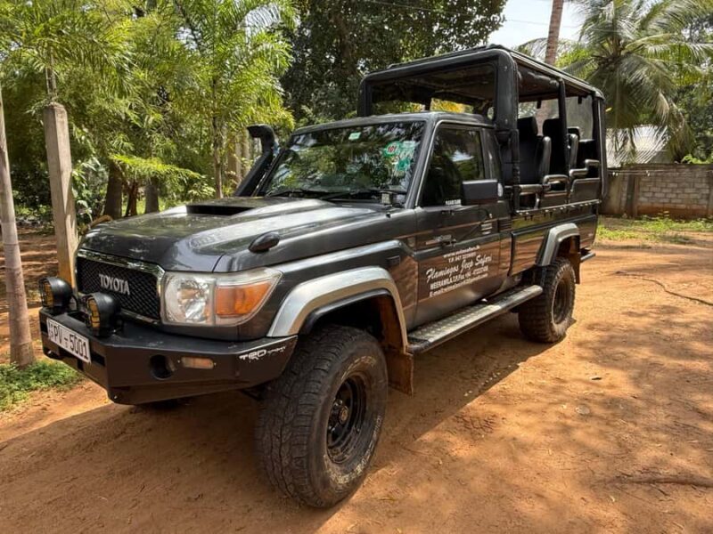 Yala National Park : Safari and Village Tour-Morning/evening - Final Thoughts