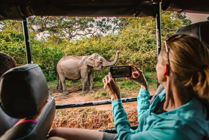 Yala National Park Safari Tour From Hambantota Port - Who Should Consider This Tour?