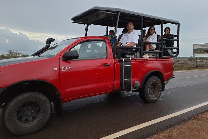 Yala National Park Safari Tours - The Sum Up