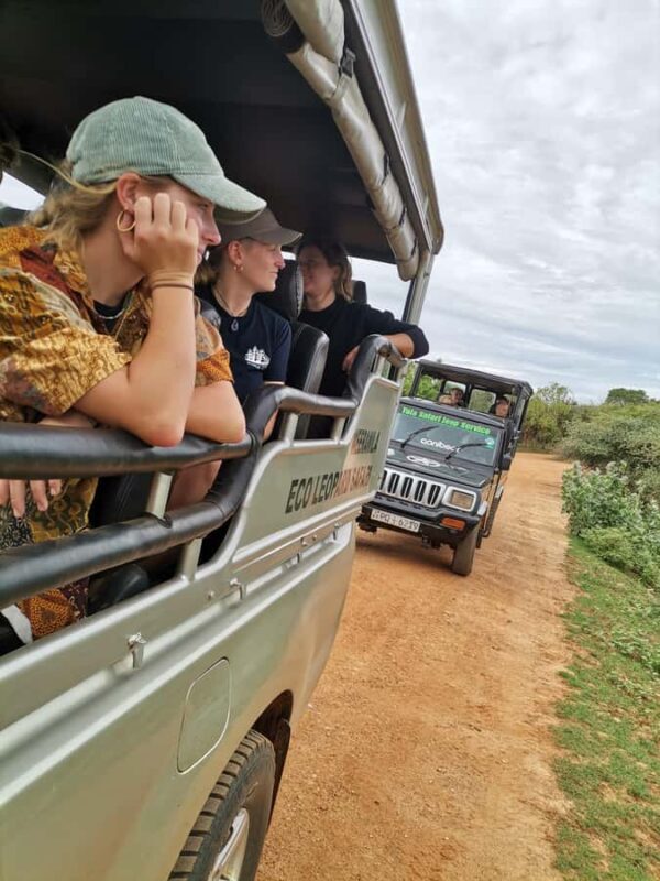 Yala National Park Safari Tours : Morning/Evening & Full-Day - Introduction to the Safari Experience