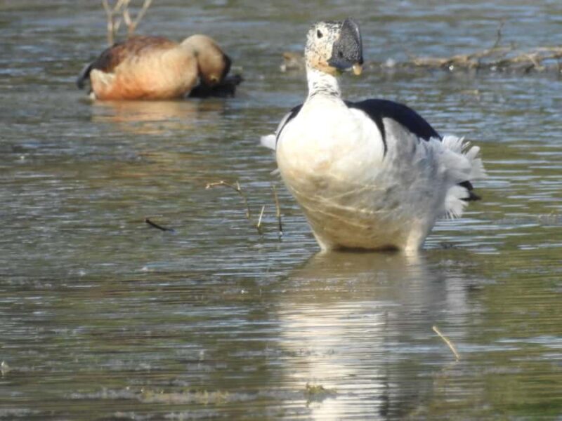 Yala National Park Safari Tours Morning/ Evening/ Full Day - What to Expect During the Tour