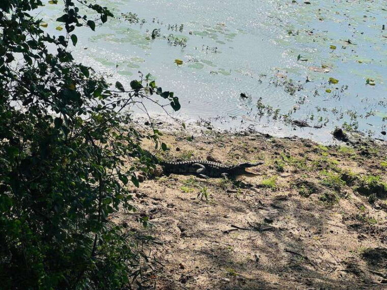 yala-national-park-safari-with-jeep