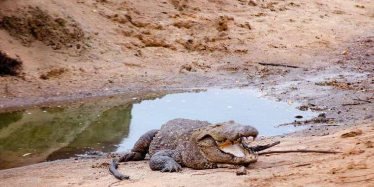 yala-national-park-wildlife-safari-from-galle