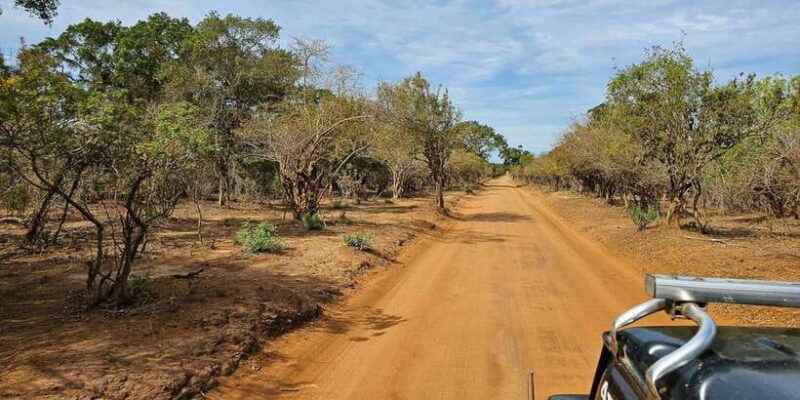 yala-national-park-wildlife-safari-from-hambantota
