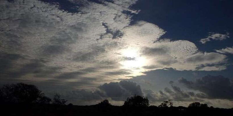 yala-night-drive-in-yala-national-park-buffer-zone