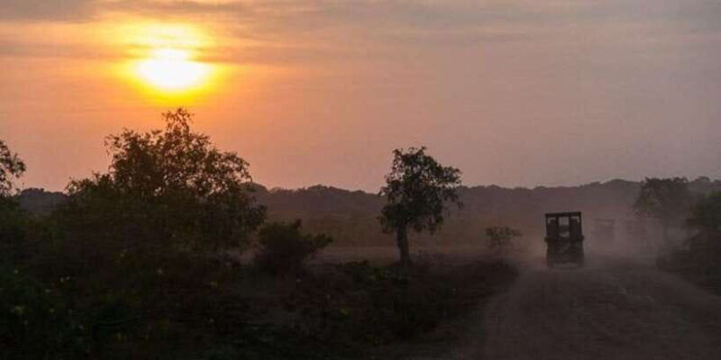 yala-night-drive-in-yala-national-park-buffer-zone