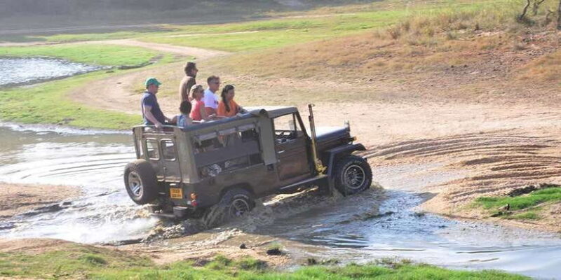 Yala Private Safari: Half-Day or Full-Day with Picnic Lunch - Final Thoughts on the Yala Private Safari