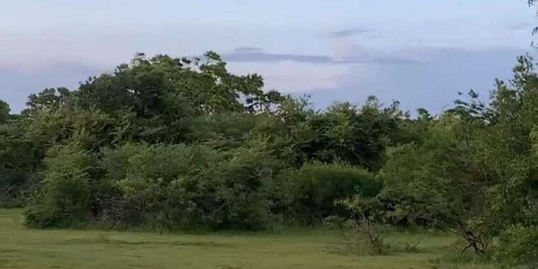 yala-safari-day-tour-bentota-aluthgama-ahungalla-kosgoda