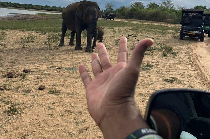 Yala Safari Day Tour - Authentic Experiences Based on Reviews